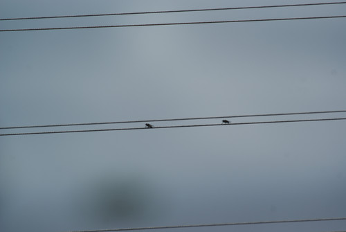 SONY DSC.jpg