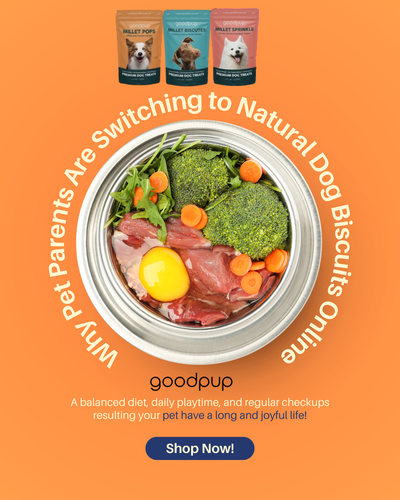 Why Pet Parents Are Switching to Natural Dog Biscuits Online.png
