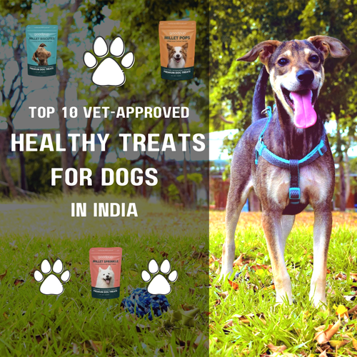 Top 10 Vet Approved Healthy Treats for Dogs in India.png