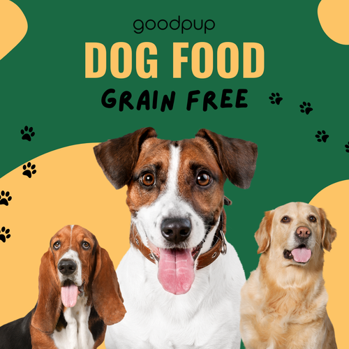 Are Grain Free Dog Snacks Really Better for Your Pet.png