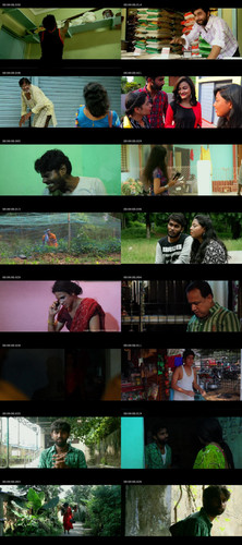 IMG 20251229 084644 320.jpg