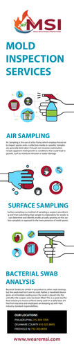 MSI Professional Mold Inspection Services Specialists.jpg