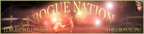 DukUfo Banner.jpg