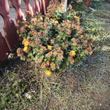 IMG 20251228 141148