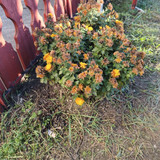 IMG 20251228 141140