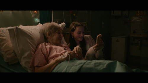 Goodbye.June.2025.2160p.NF.WEB DL.CZ EN.DD+5.1.DoVi.HDR.x265 POKE.mkv 20251229 155316.045.jpg