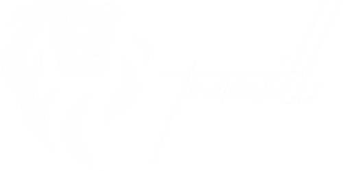 TUNEWILL DD.png