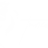 TUNEWILL DD