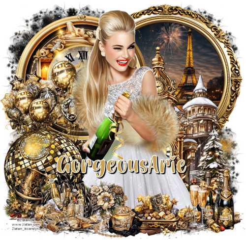 GorgeousArieHNY1MC vi