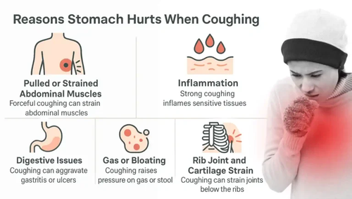 Reasons Stomach Hurts When Coughing.png