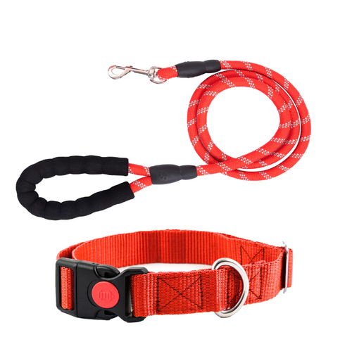 Luxury Matching Leather Collar and Lead Set – Shop Now.png