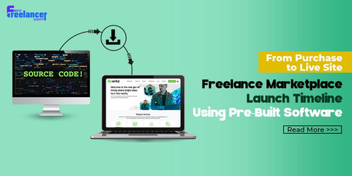 From Purchase to Live Site Freelance Marketplace Launch Timeline.jpg