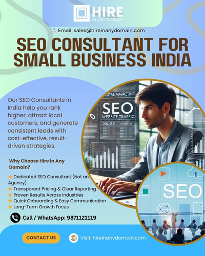 SEO Consultant for Small Business India.jpg