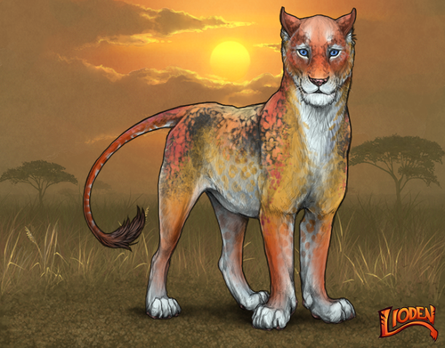 lioden wardrobe (3).png