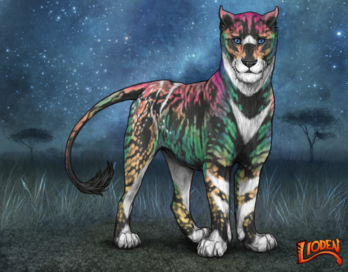 lioden wardrobe (5).png