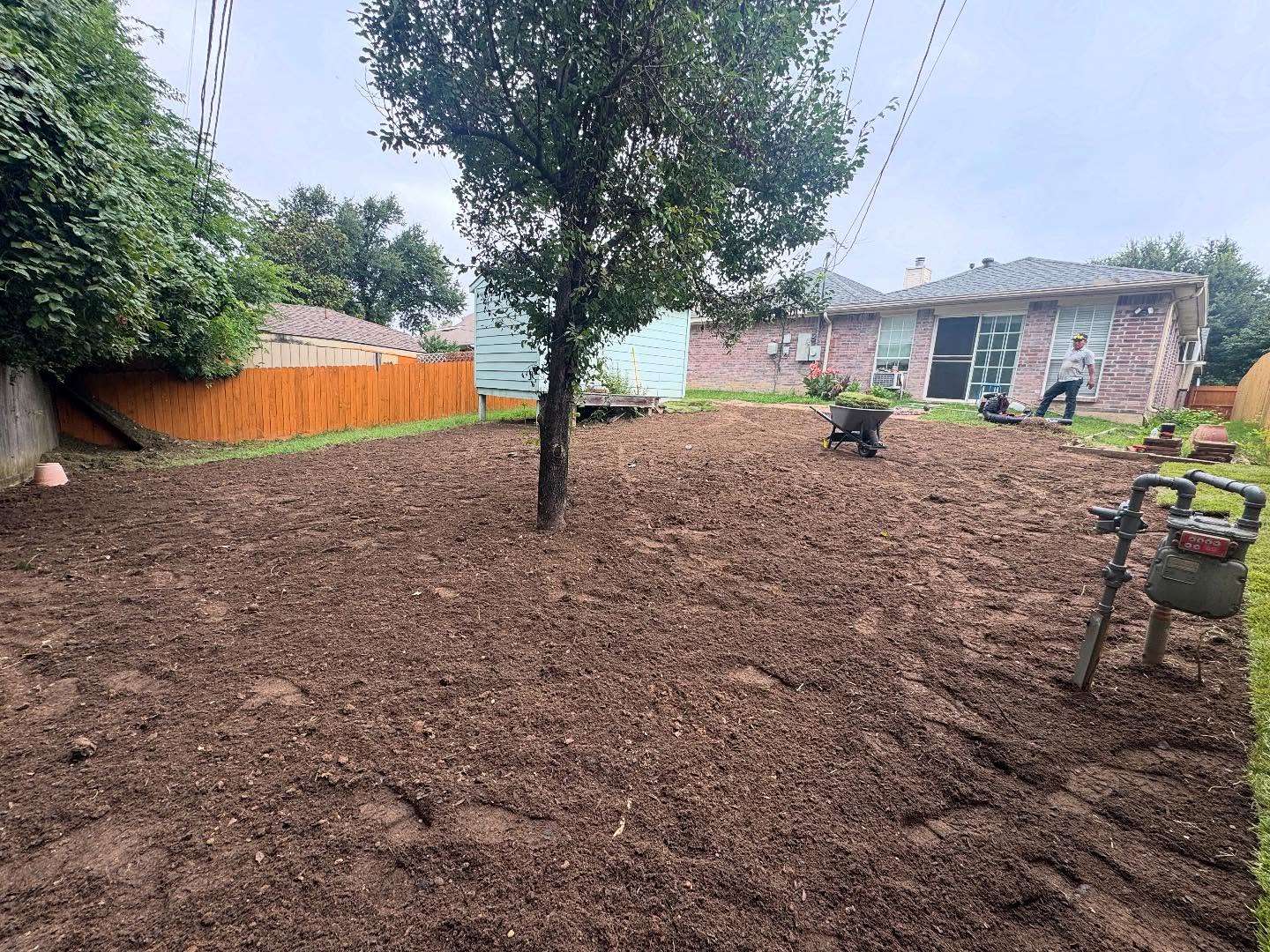 Initial Yard Condition (Before)