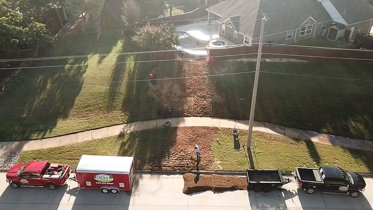 Loera's Landscaping - Sod in Coppell