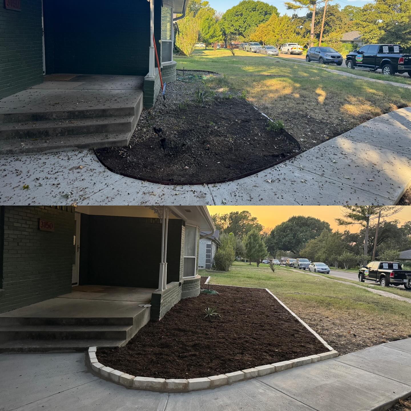 Half a Million Flowers at Dallas Blooms — and What Your Yard Can Steal from Them