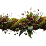 MyForestFriendsCDA E (37).png