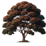 MyForestFriendsCDA E (69).png