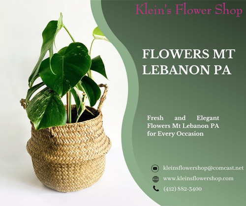 Flowers Mt Lebanon Pa.jpg