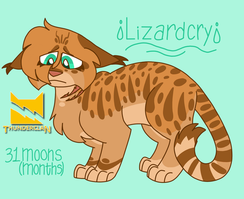 ed52eb75 14de 4abb 9037 5f4eb0fd852e.png