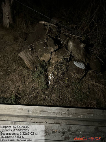 photo 23 2025 12 29 04 10 00.jpg