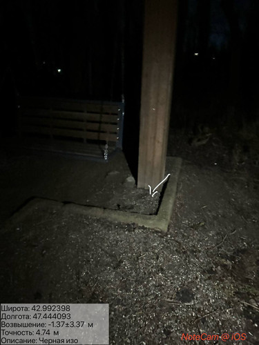 photo 27 2025 12 29 04 10 00.jpg