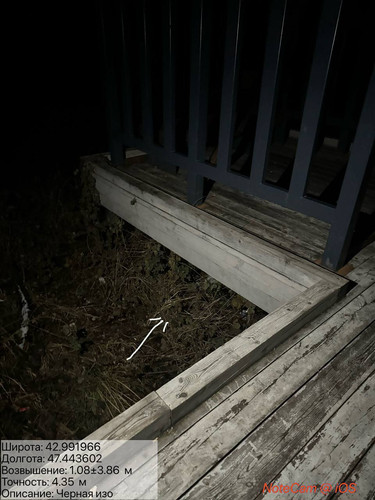 photo 25 2025 12 29 04 10 00.jpg