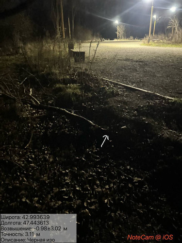 photo 32 2025 12 29 04 10 00.jpg