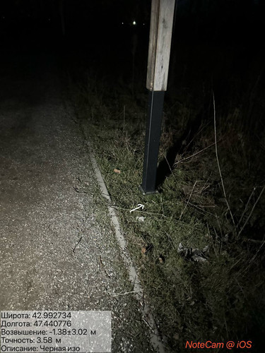 photo 19 2025 12 29 04 10 00.jpg