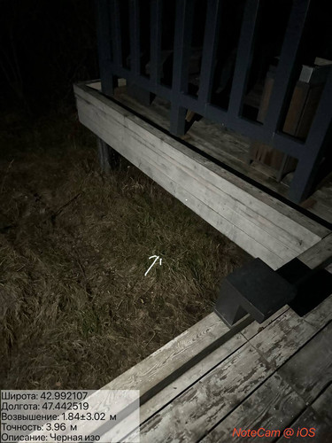 photo 24 2025 12 29 04 10 00.jpg