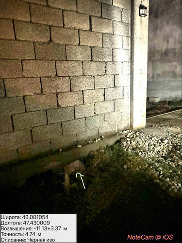 photo 14 2025 12 29 04 10 00.jpg