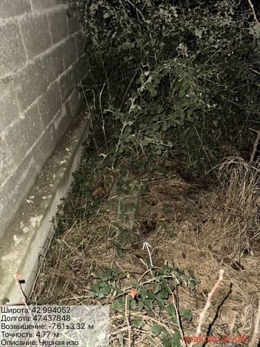 photo 9 2025 12 29 04 10 00.jpg