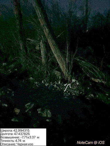 photo 12 2025 12 29 04 10 00.jpg