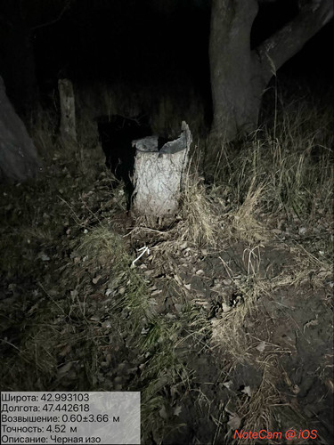 photo 15 2025 12 29 04 10 00.jpg