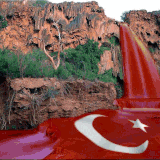 Atatürk V011020250014 N 18