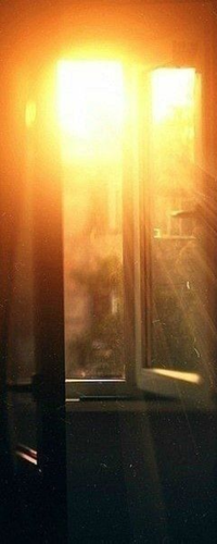 Your paragraph text (91).png