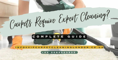 Why Do the Carpets Require Expert Cleaning Complete Guide.jpg