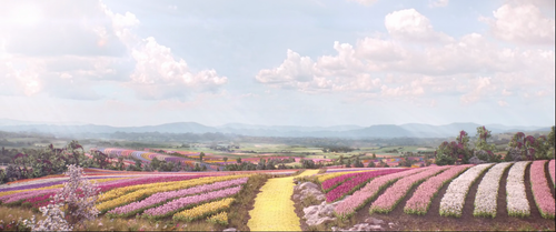 vlcsnap 2025 12 30 20h39m42s246.png