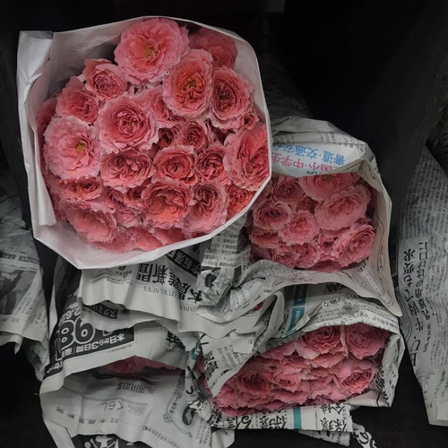 Flowers.jpg