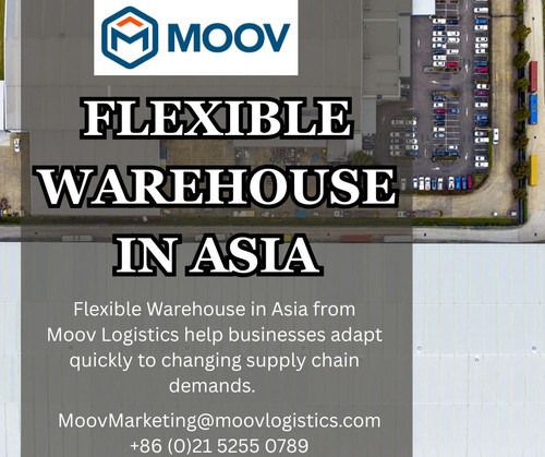 FLEXIBLE WAREHOUSE IN ASIA.jpg