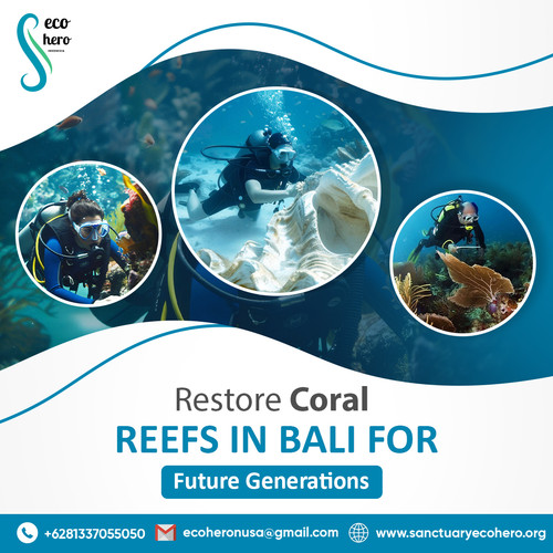 Restore Coral Reefs in Bali for Future Generations.jpg