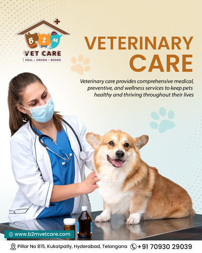 Why Every Pet Needs It and How to Choose the Right Clinic?.jpg