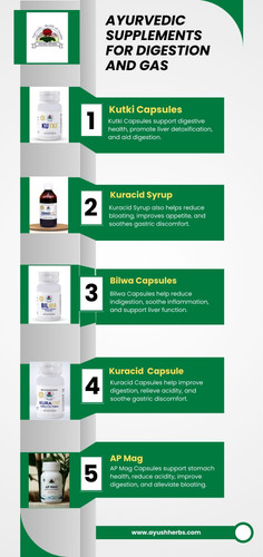 Ayurvedic Supplements for digestion and gas.jpg