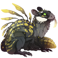 imageedit 1 7434262007.png