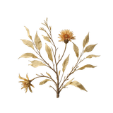 KD SpiritofdaVinci 117