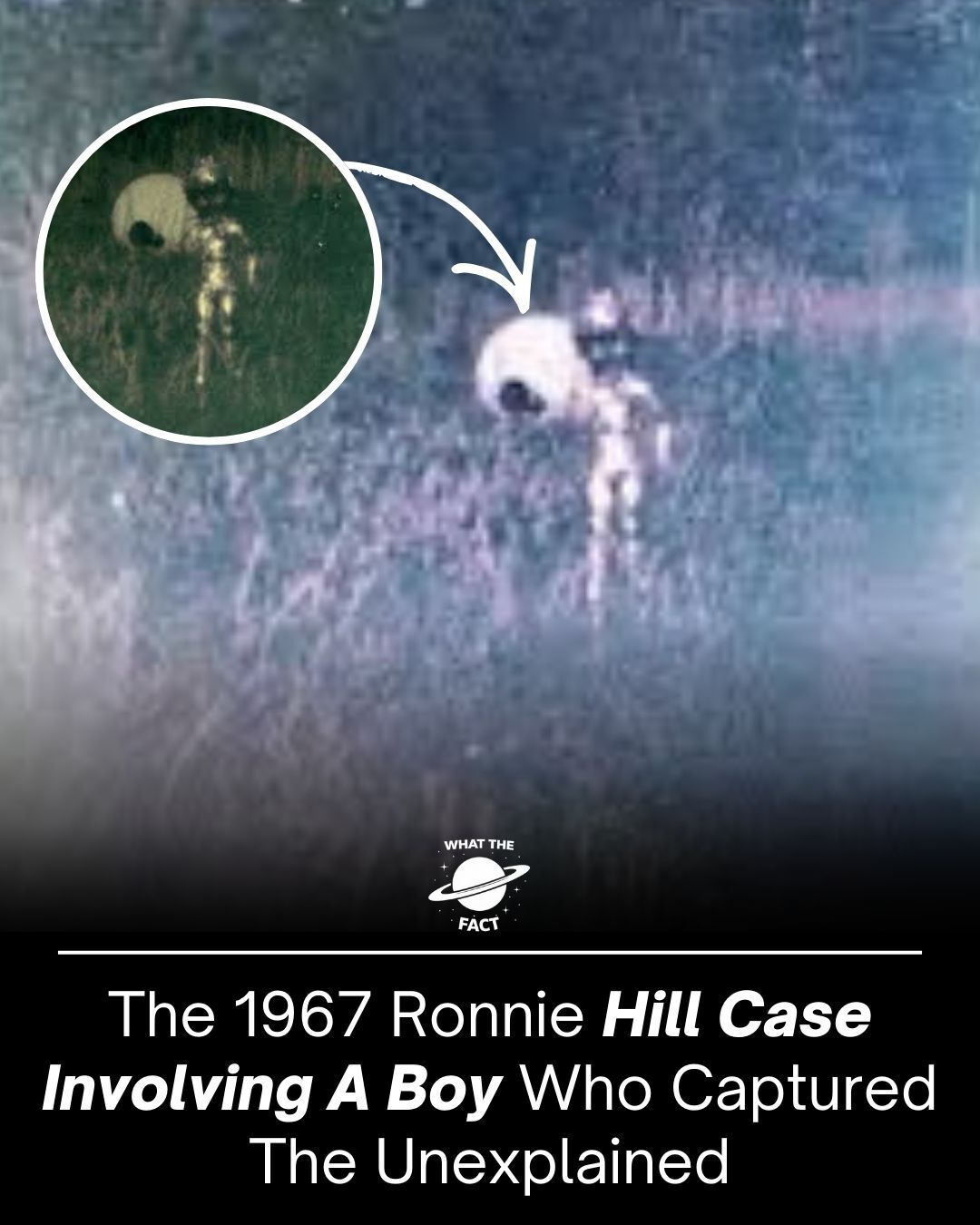 [Image: fX59yan.jpg]