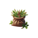 KD SpiritofdaVinci 59