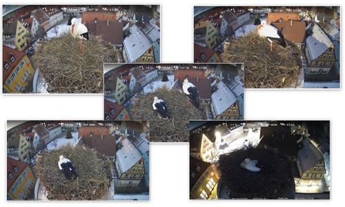 Bilder2.jpg